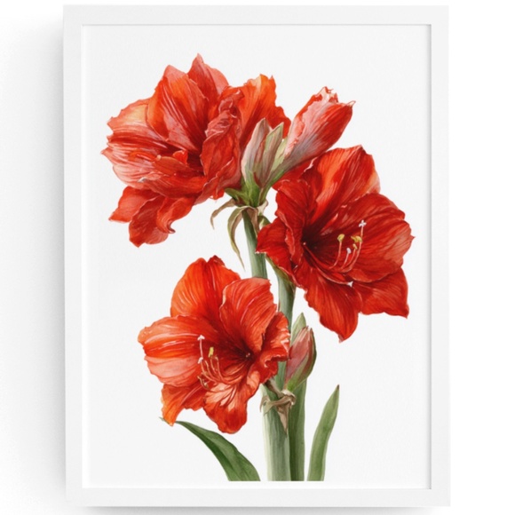 Watercolor Red Amaryllis Flower Bouquet Wall Art Print Poster, Unframed - Picture 1 of 5